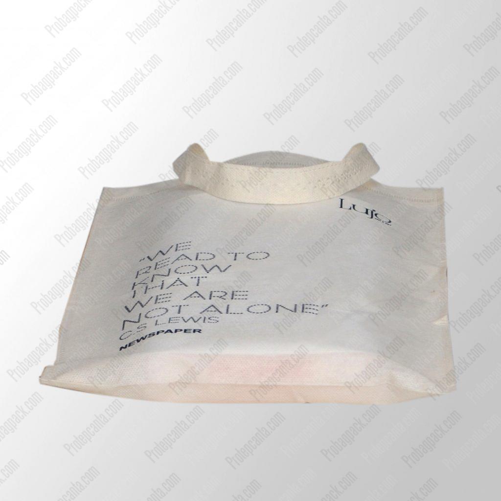 Gazete Torbasi Ultrasoni̇k Tela Nonwoven Çanta 2 Gazete Torbasi Ultrasoni̇k Tela Nonwoven Çanta - Görsel 2